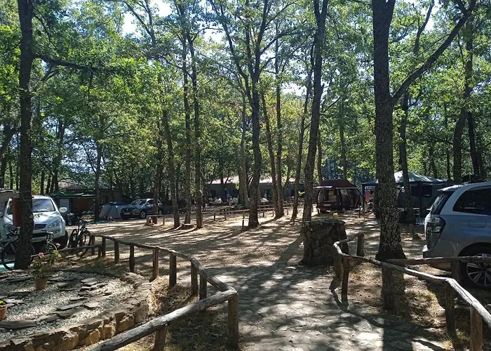 Camping Las Cavenes
