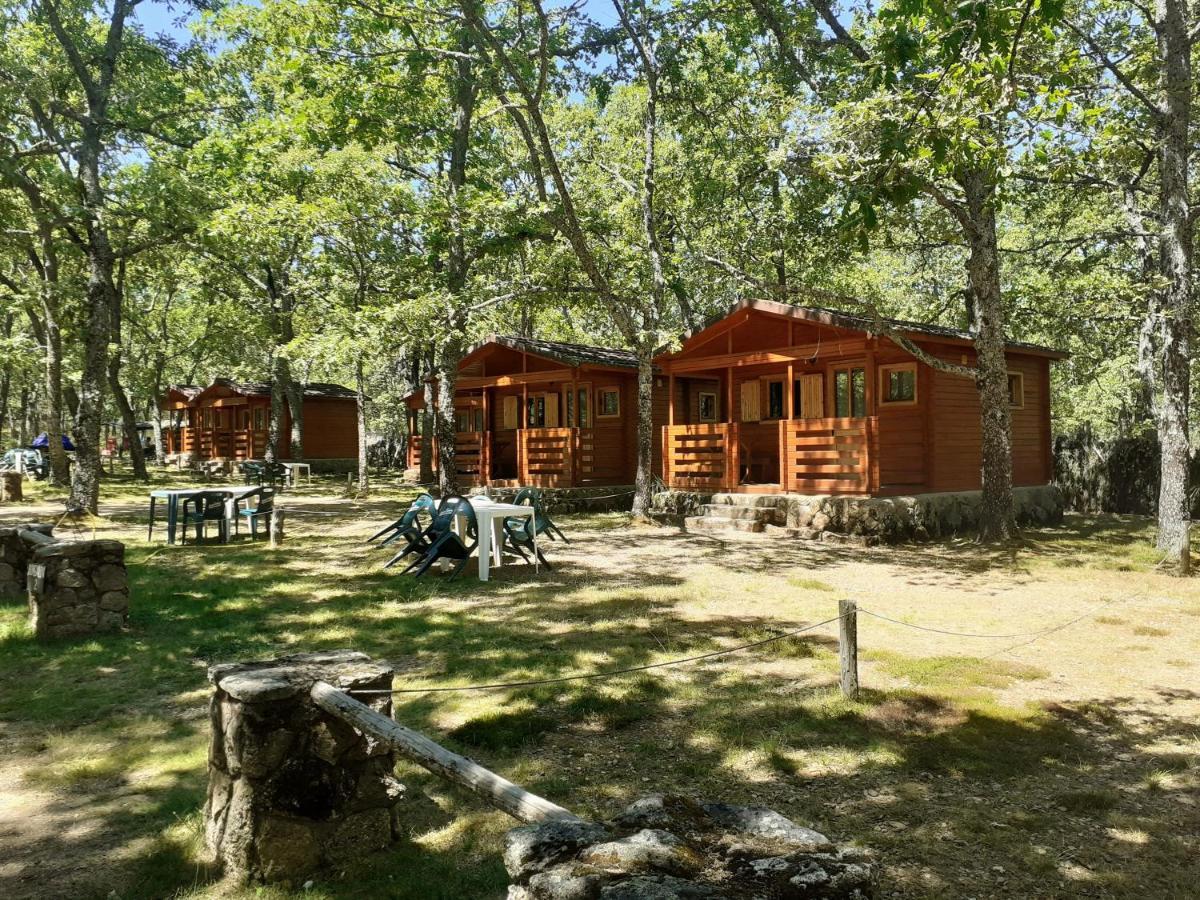 Cavenes Campsite