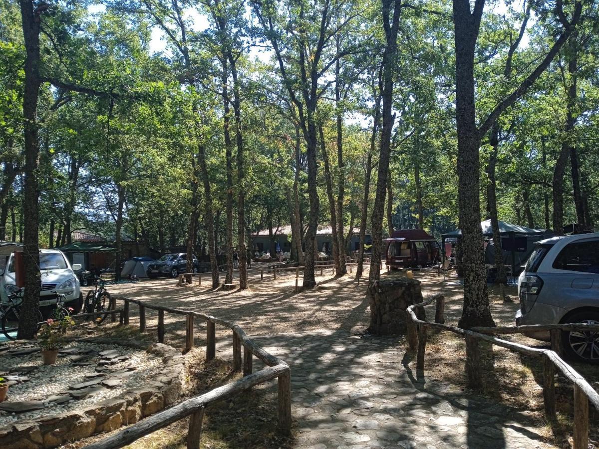 Cavenes Campsite